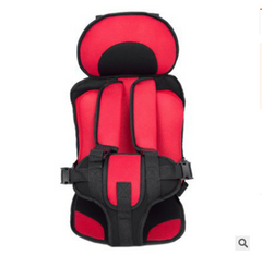 Safety Net Portable Baby Car Seat