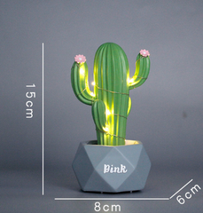 Cactus Nighttime Companion