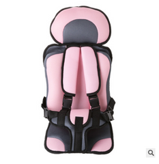 Safety Net Portable Baby Car Seat